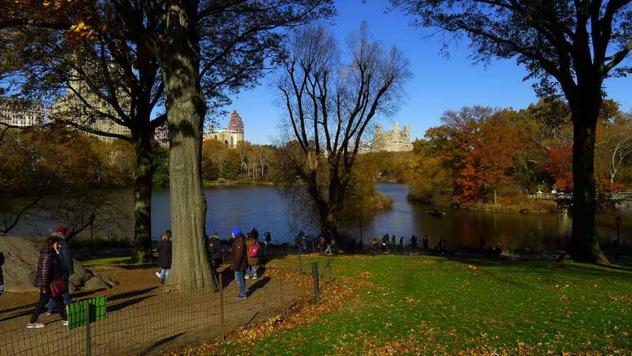 NYC_2017-11-23 11-28-25_P1140152